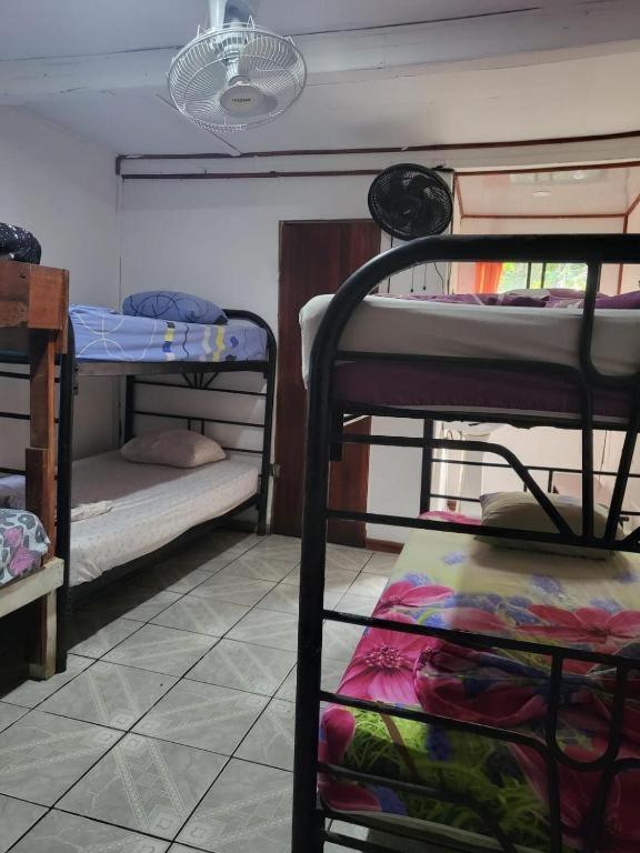 Downtown Montezuma Hostel Luaran gambar